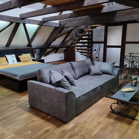 Galerie Vila Lucia #5 - mezotonový apartmán Plzeň Exteriér fotografie
