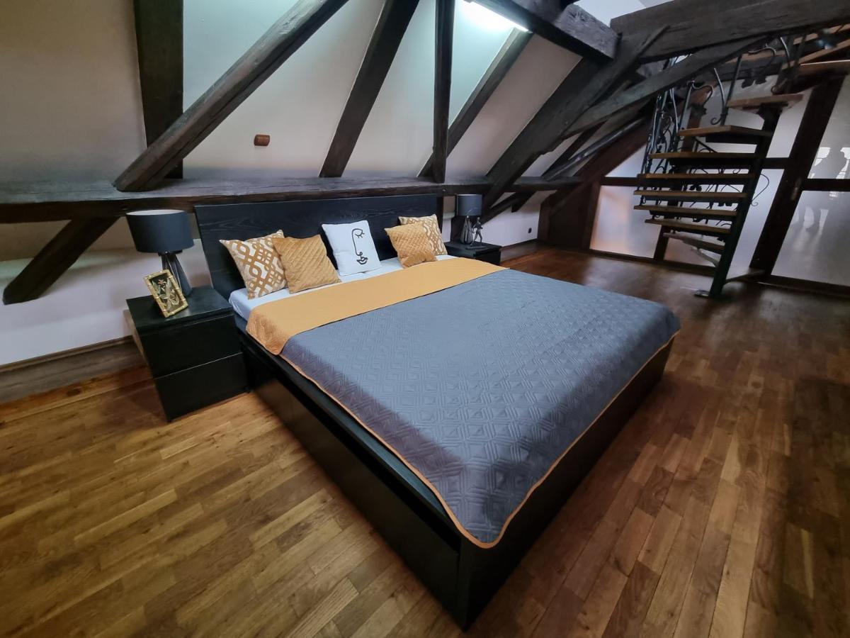 Galerie Vila Lucia #5 - mezotonový apartmán Plzeň Exteriér fotografie