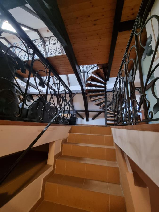 Galerie Vila Lucia #5 - mezotonový apartmán Plzeň Exteriér fotografie