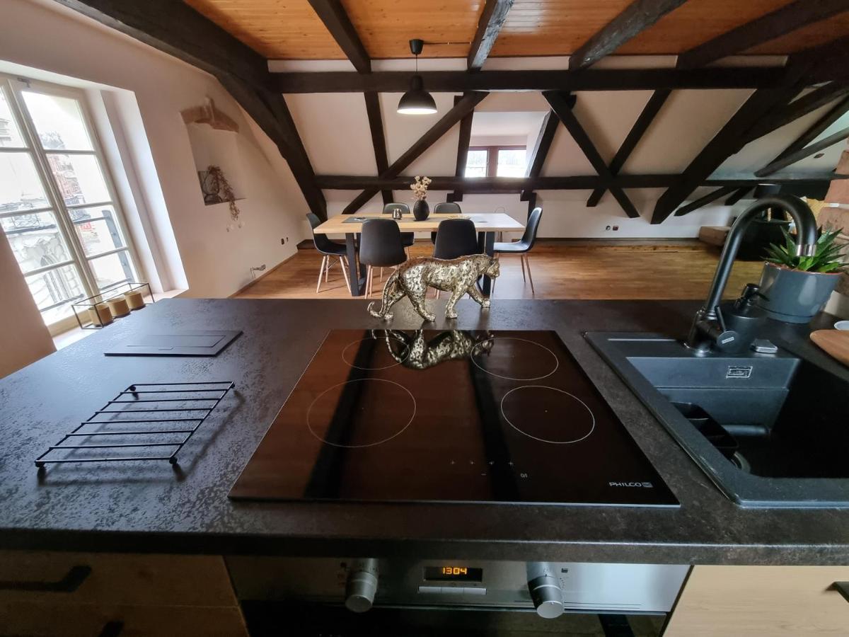 Galerie Vila Lucia #5 - mezotonový apartmán Plzeň Exteriér fotografie