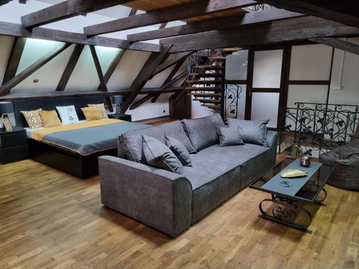Galerie Vila Lucia #5 - mezotonový apartmán Plzeň Exteriér fotografie