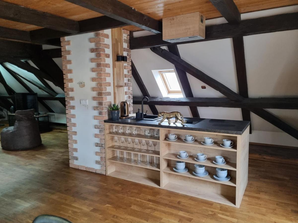 Galerie Vila Lucia #5 - mezotonový apartmán Plzeň Exteriér fotografie