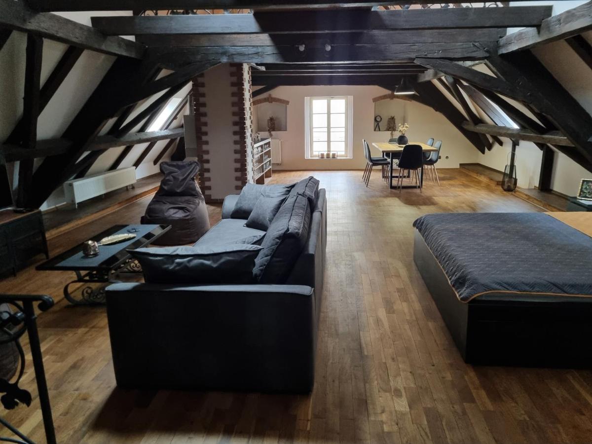 Galerie Vila Lucia #5 - mezotonový apartmán Plzeň Exteriér fotografie