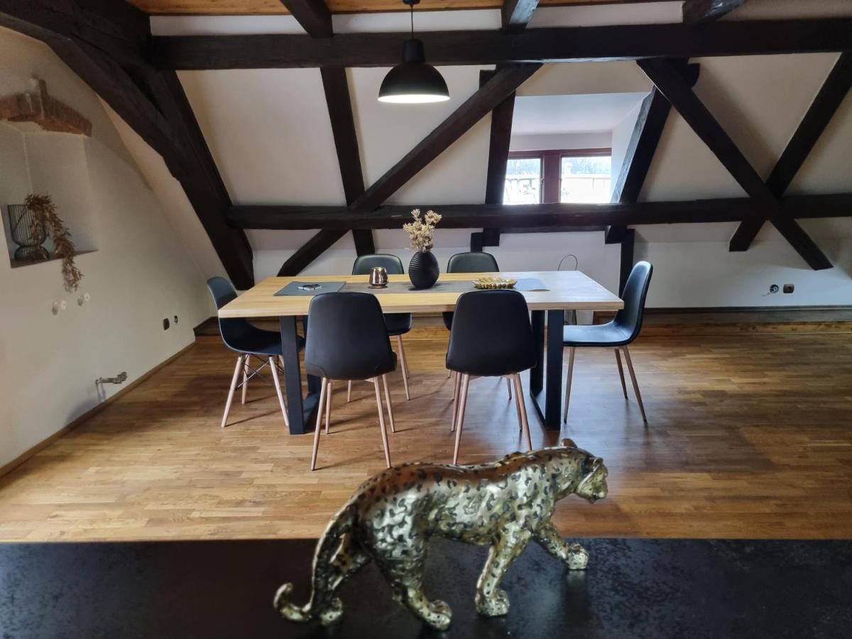 Galerie Vila Lucia #5 - mezotonový apartmán Plzeň Exteriér fotografie
