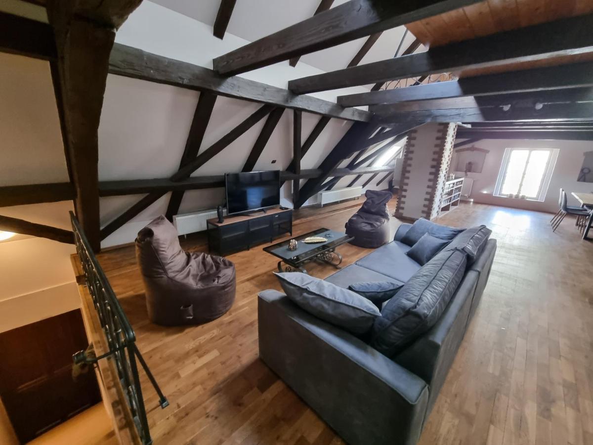 Galerie Vila Lucia #5 - mezotonový apartmán Plzeň Exteriér fotografie