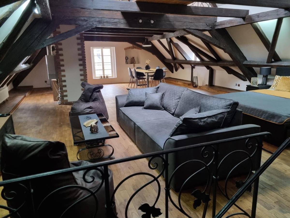 Galerie Vila Lucia #5 - mezotonový apartmán Plzeň Exteriér fotografie