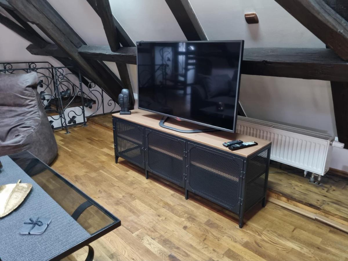 Galerie Vila Lucia #5 - mezotonový apartmán Plzeň Exteriér fotografie