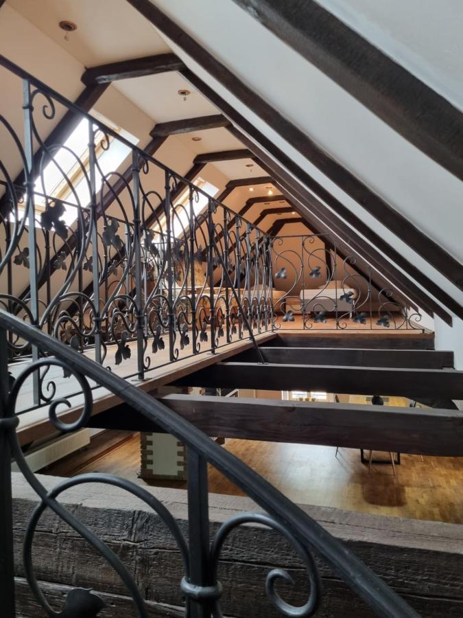 Galerie Vila Lucia #5 - mezotonový apartmán Plzeň Exteriér fotografie