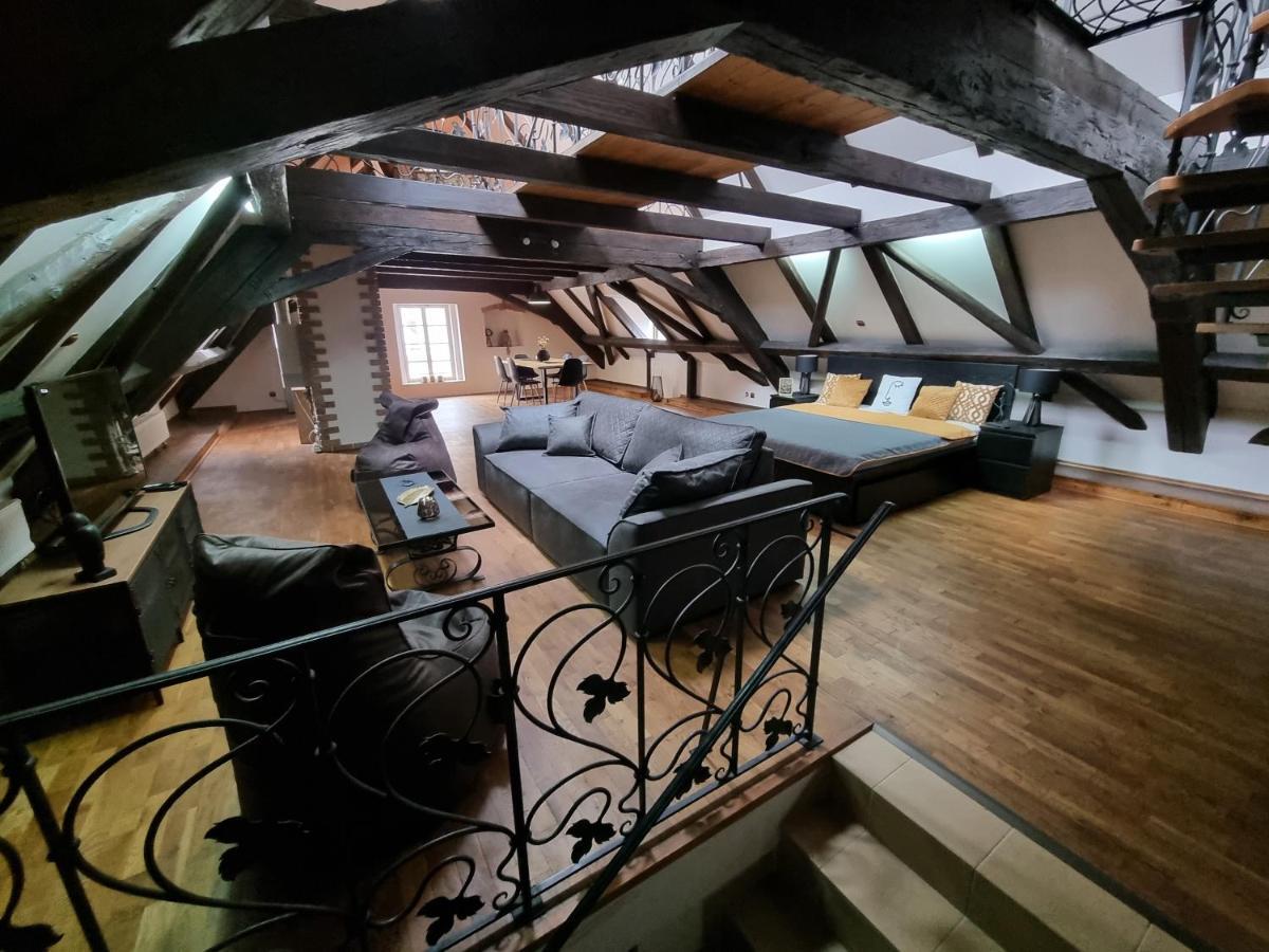 Galerie Vila Lucia #5 - mezotonový apartmán Plzeň Exteriér fotografie