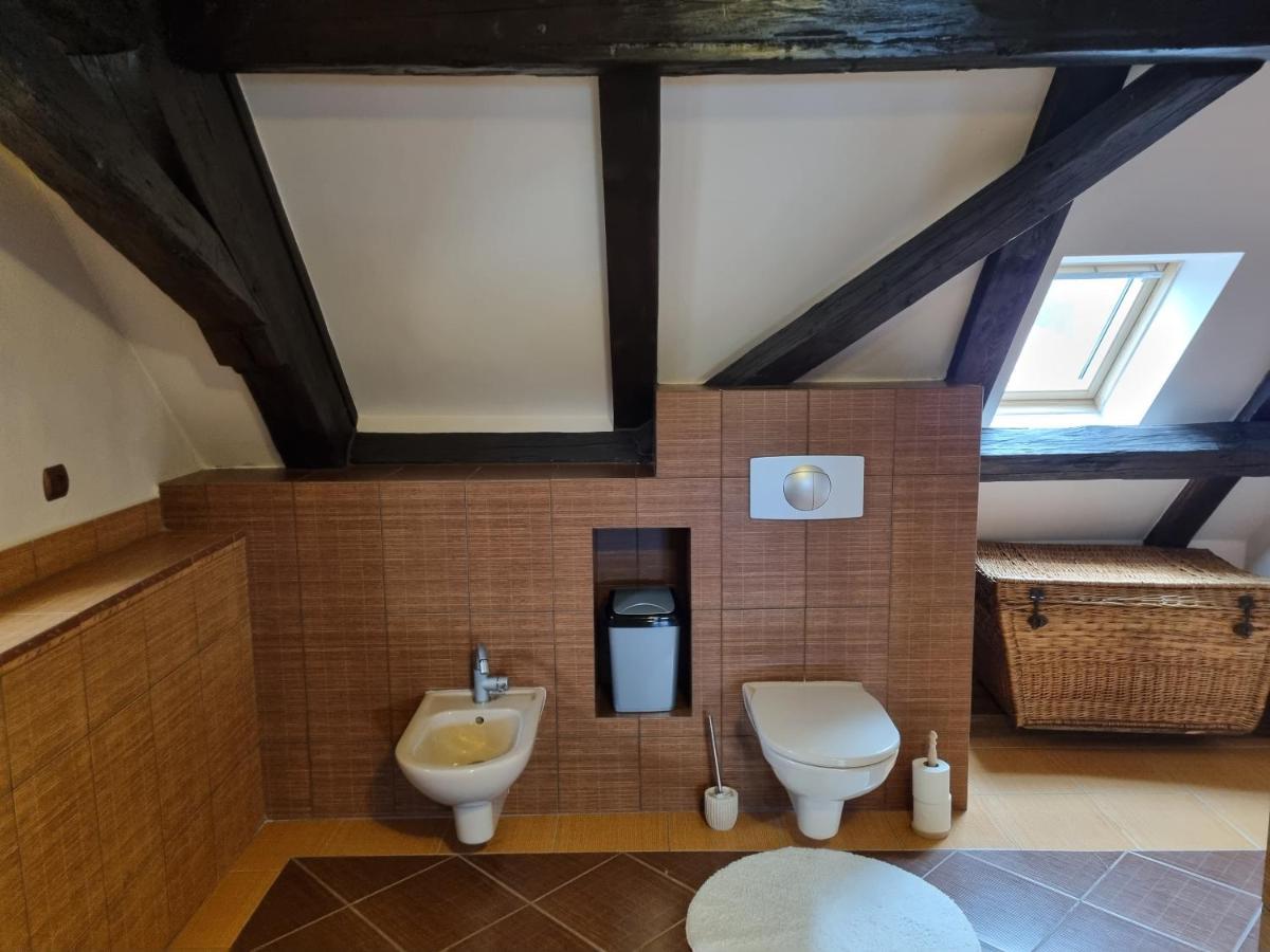 Galerie Vila Lucia #5 - mezotonový apartmán Plzeň Exteriér fotografie