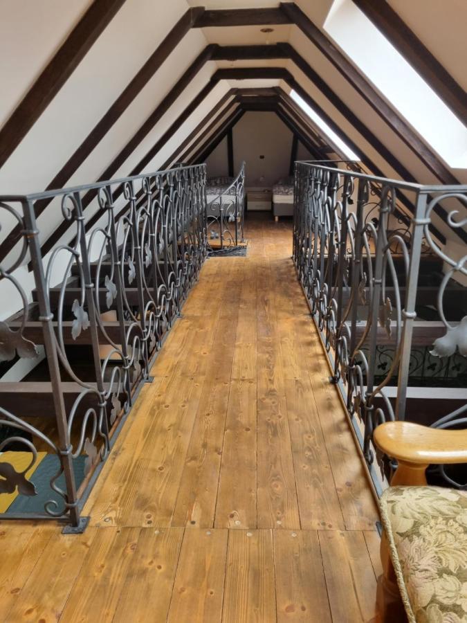 Galerie Vila Lucia #5 - mezotonový apartmán Plzeň Exteriér fotografie